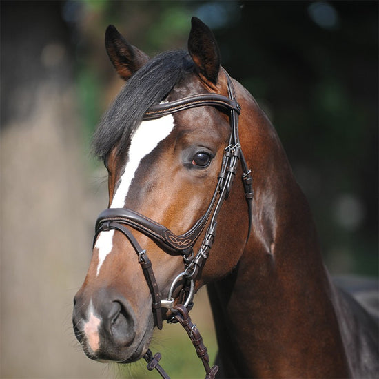 Cheap anatomic leather bridle