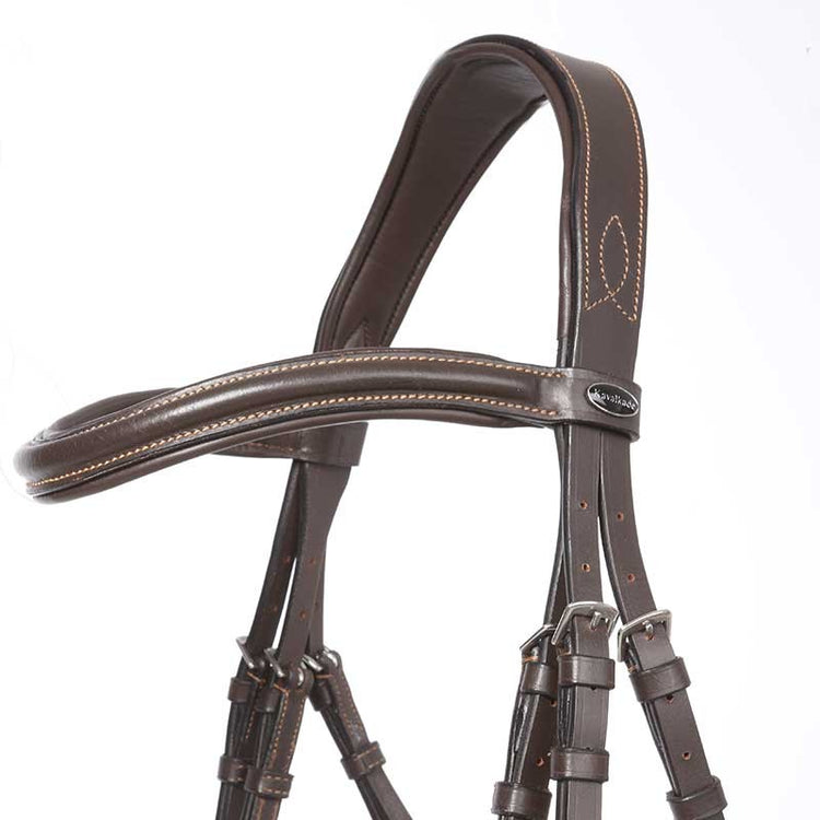 Dressage bridle with anatomic headpiece