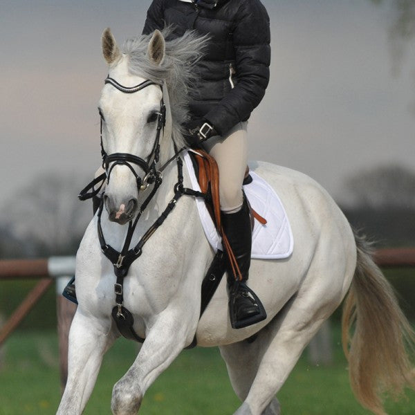 Kavalkade safety jumping girth