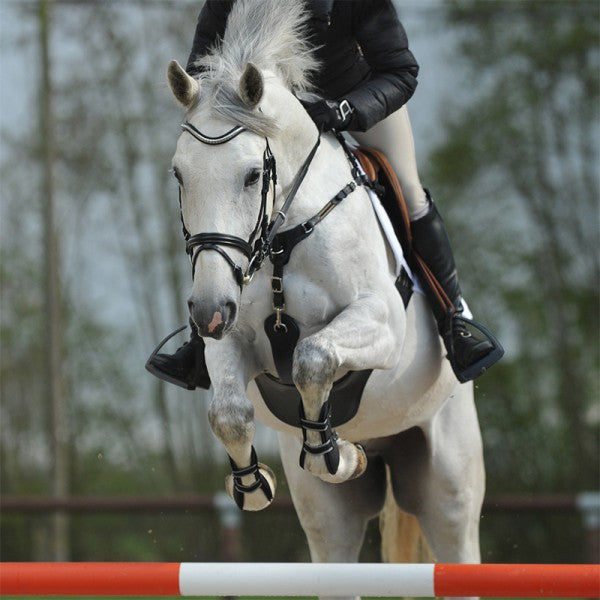 Safest girth for show jumping