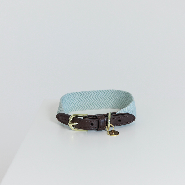 Kentucky Dogwear Dog Collar Jacquard