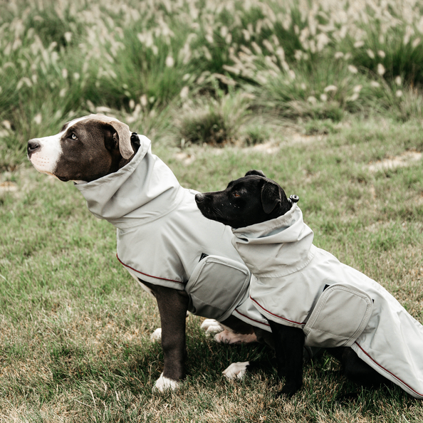 Waterproof rain coat for dogs