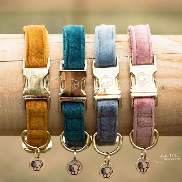 Kentucky Dogwear Dog Collar Velvet