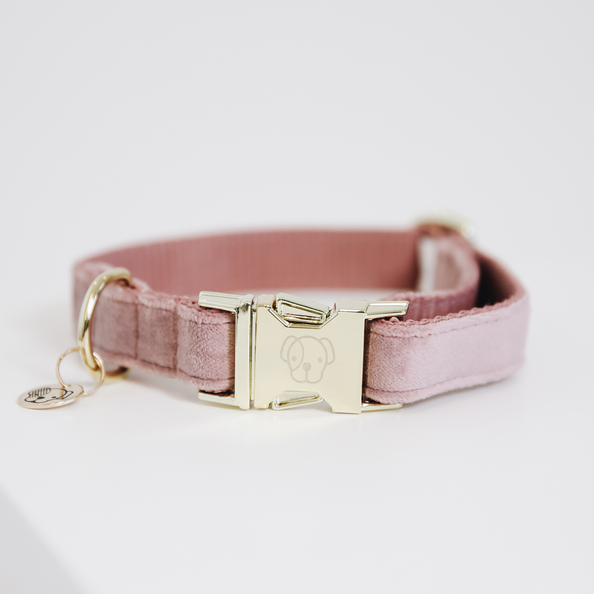 Dog Collar Velvet in PInk