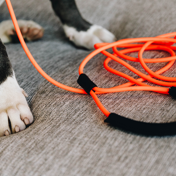 soft rubber tow lead for dogs