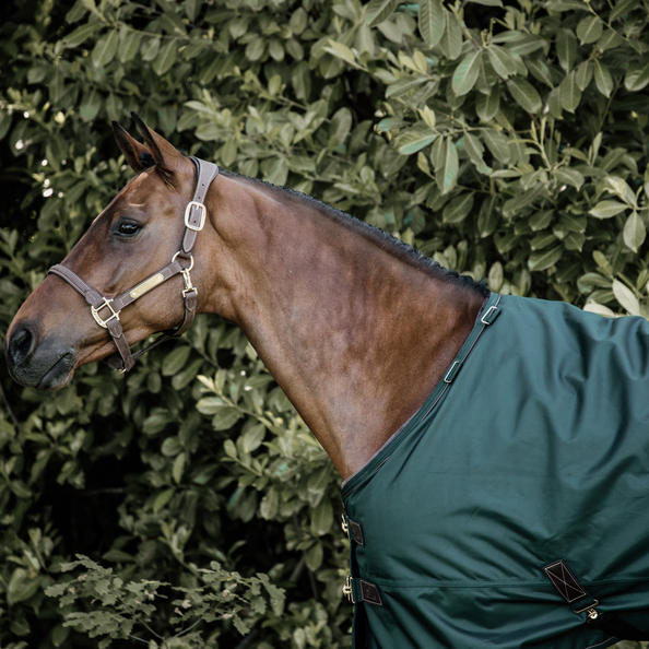 Dark Green turnout rug for horses