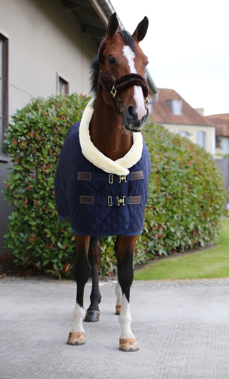 Show Rug for horses