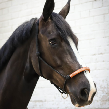 Rope Halter by Penelope