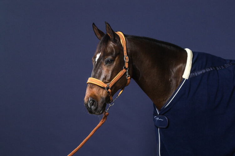 Tan leather halter