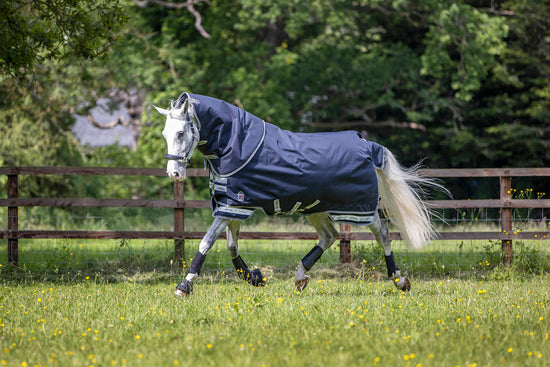 Lemieux turnout rugs