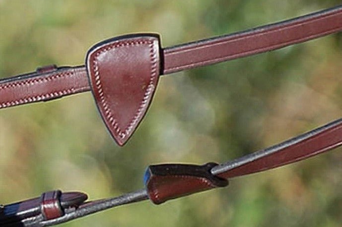 Dyon Reins