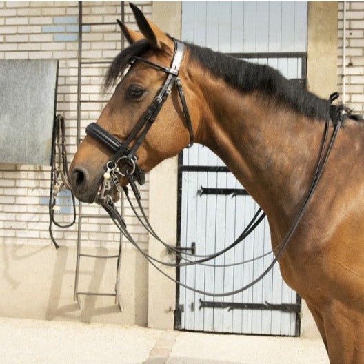 Penelope double bridle for horses with elegant equestrian styling.