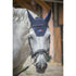 fly veil with French flag