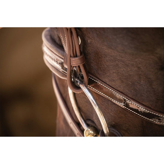 bridle with reins