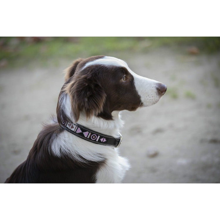 Pearl dog collar