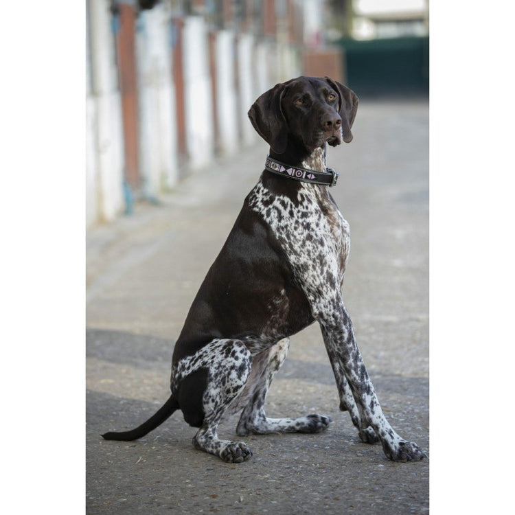 PEARL dog collar