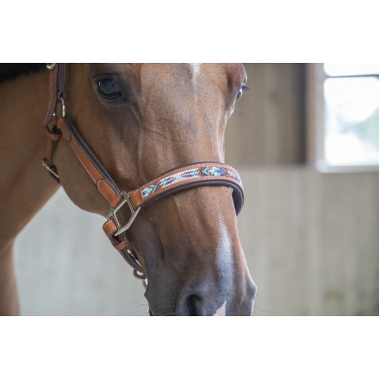 Leather Head Collar with decoration