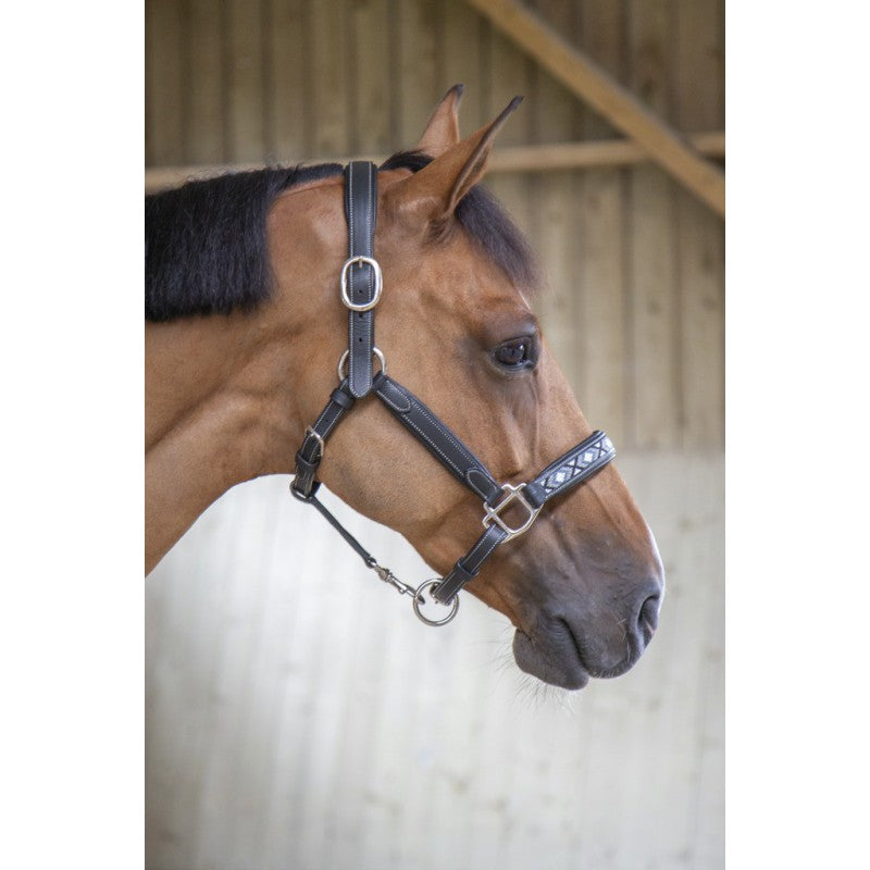 leather halter