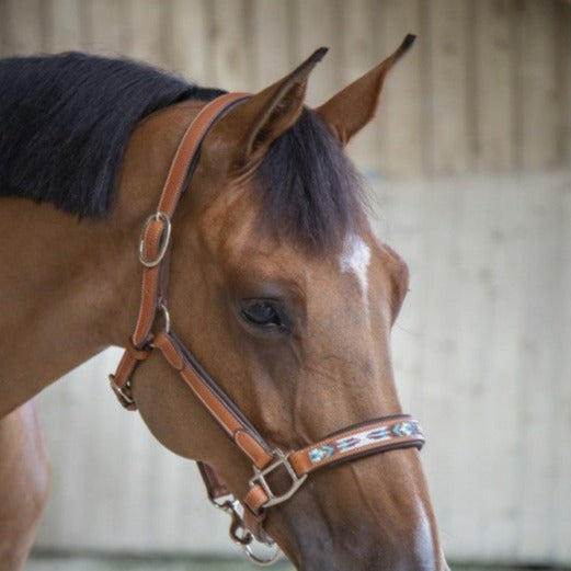 brown leather halter