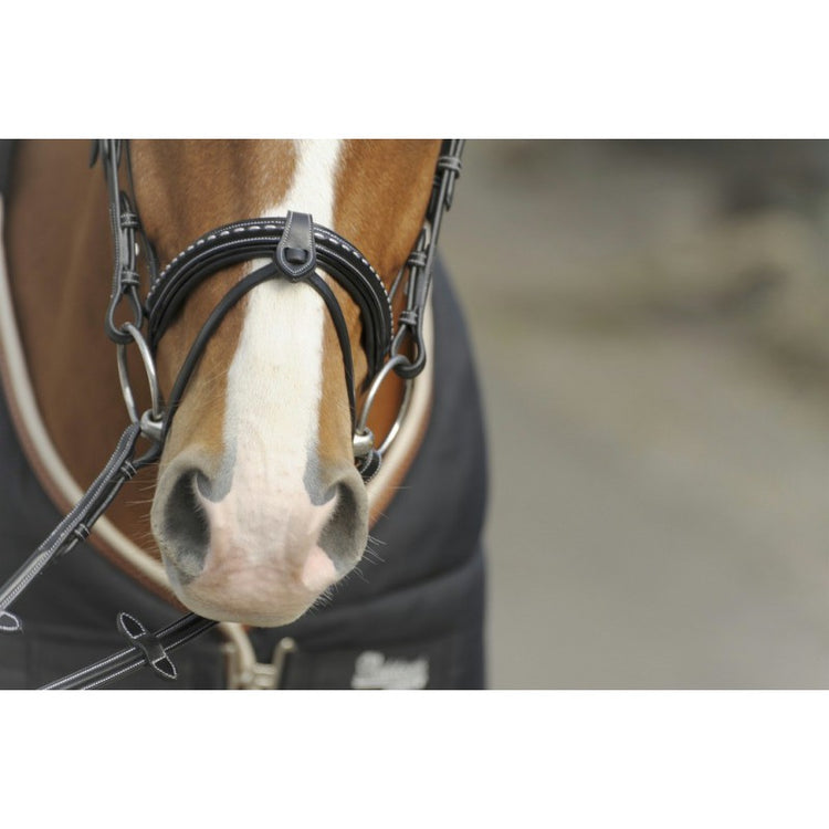Removable flash noseband bridles