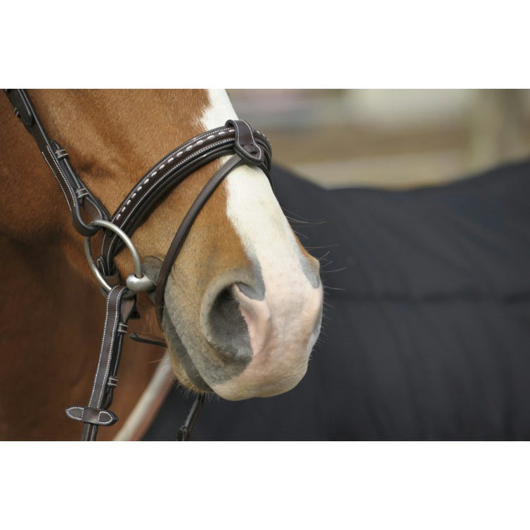 Penelope Collection bridle
