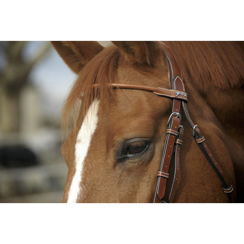 Patent round leather bridle in chestnut