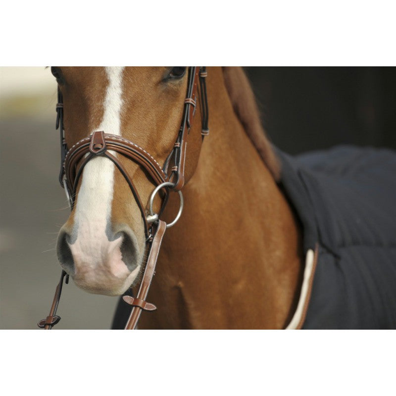 Full removable flash noseband bridle