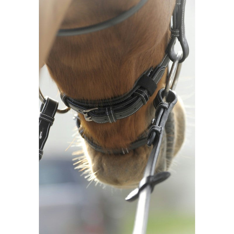 Penelope Collection Bridle