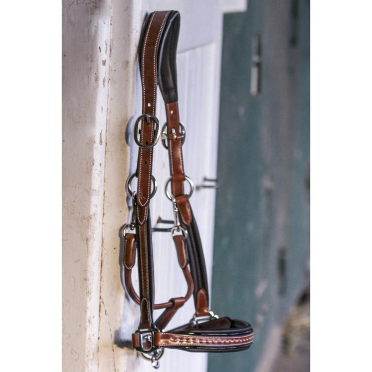 Havana Leather Halter