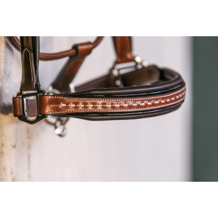 Brown Leather Head Collar with fancy stitch 