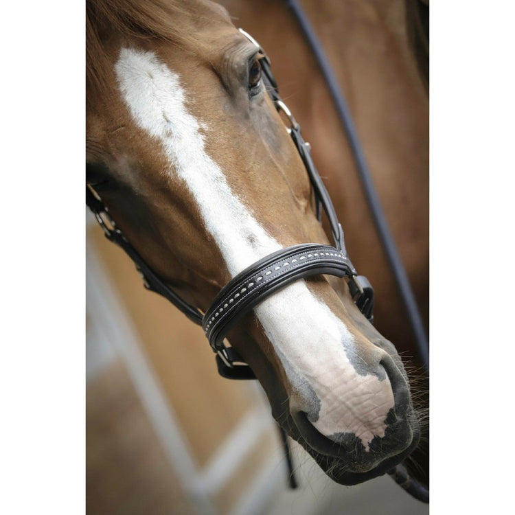 Black Leather Halter