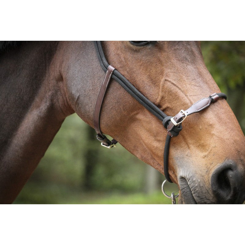 Penelope Rope Head Collar