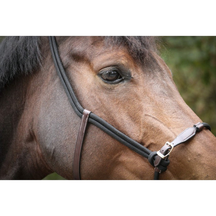 Adjustable Rope Head Collar