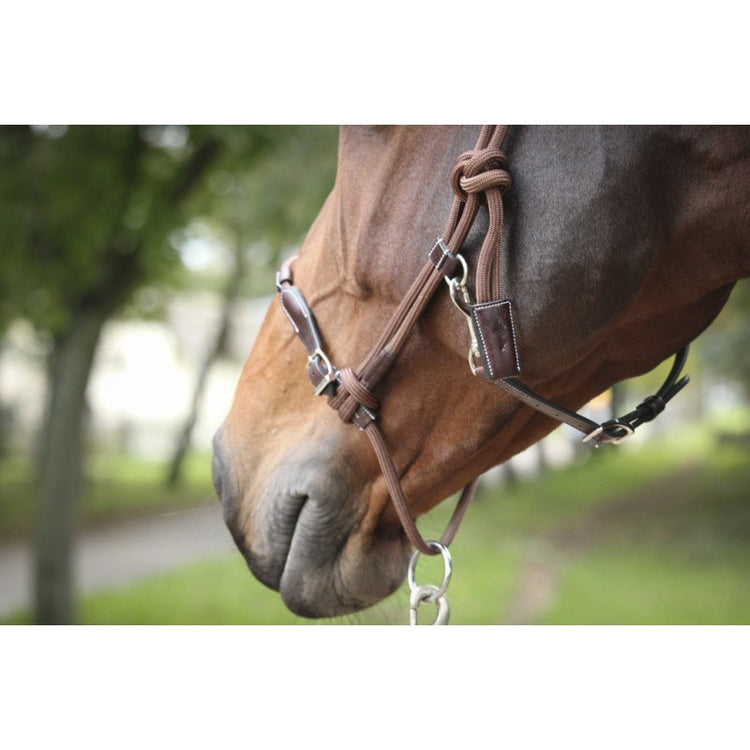 Rope halter with leather fittings