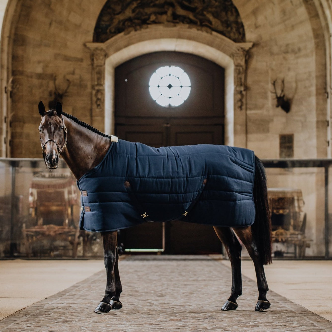 Stable Rug Kentucky