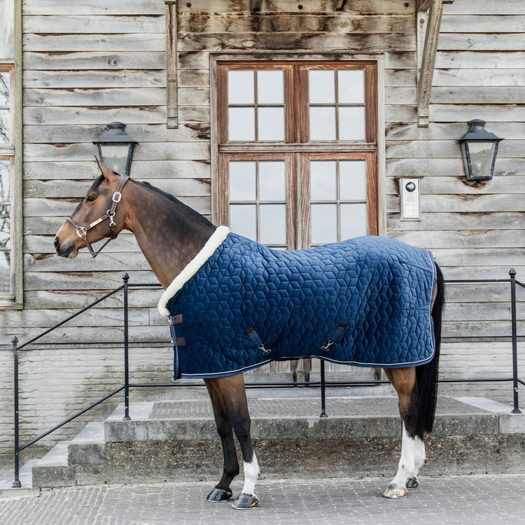 Kentucky Show Rug Sale