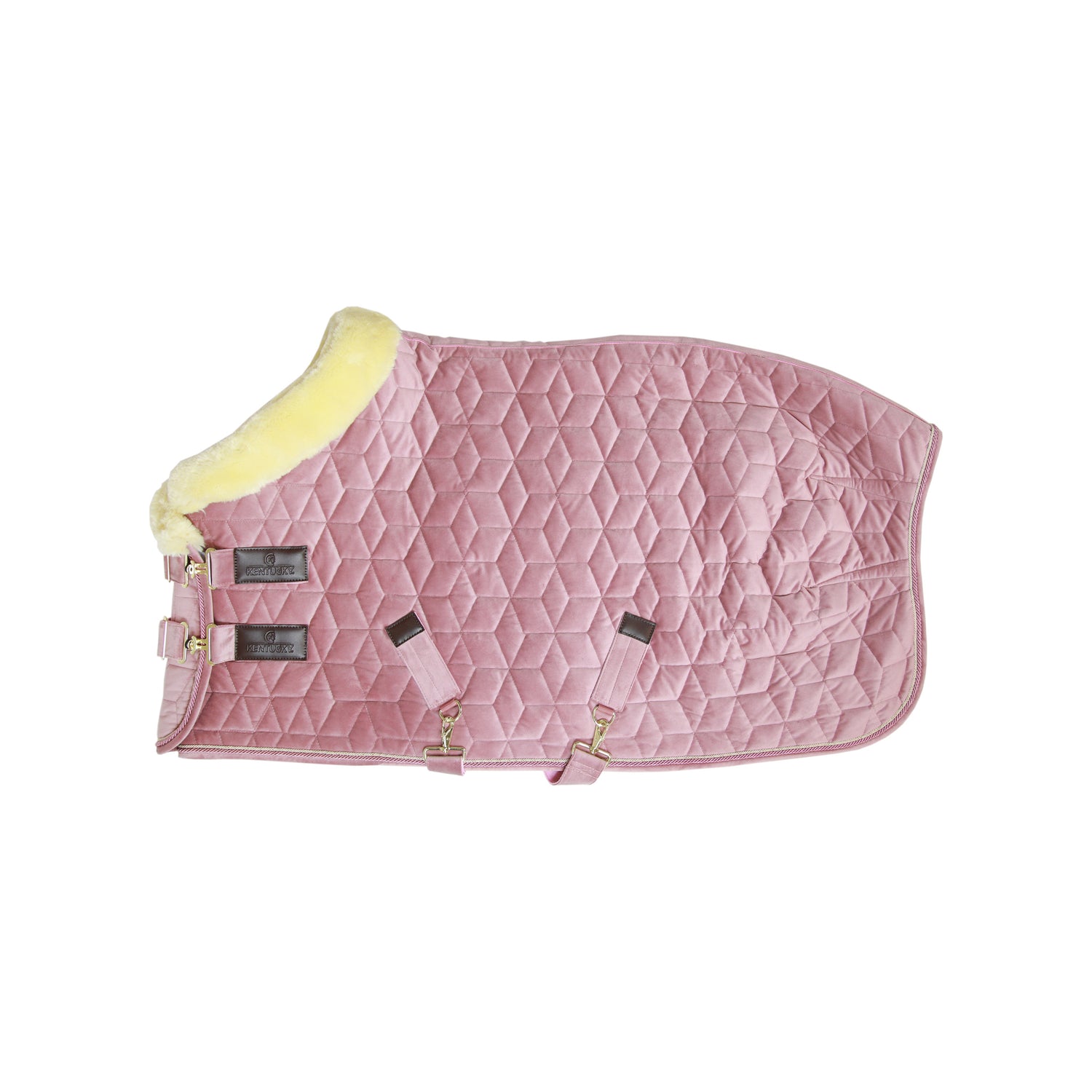 Kentucky Pink rug