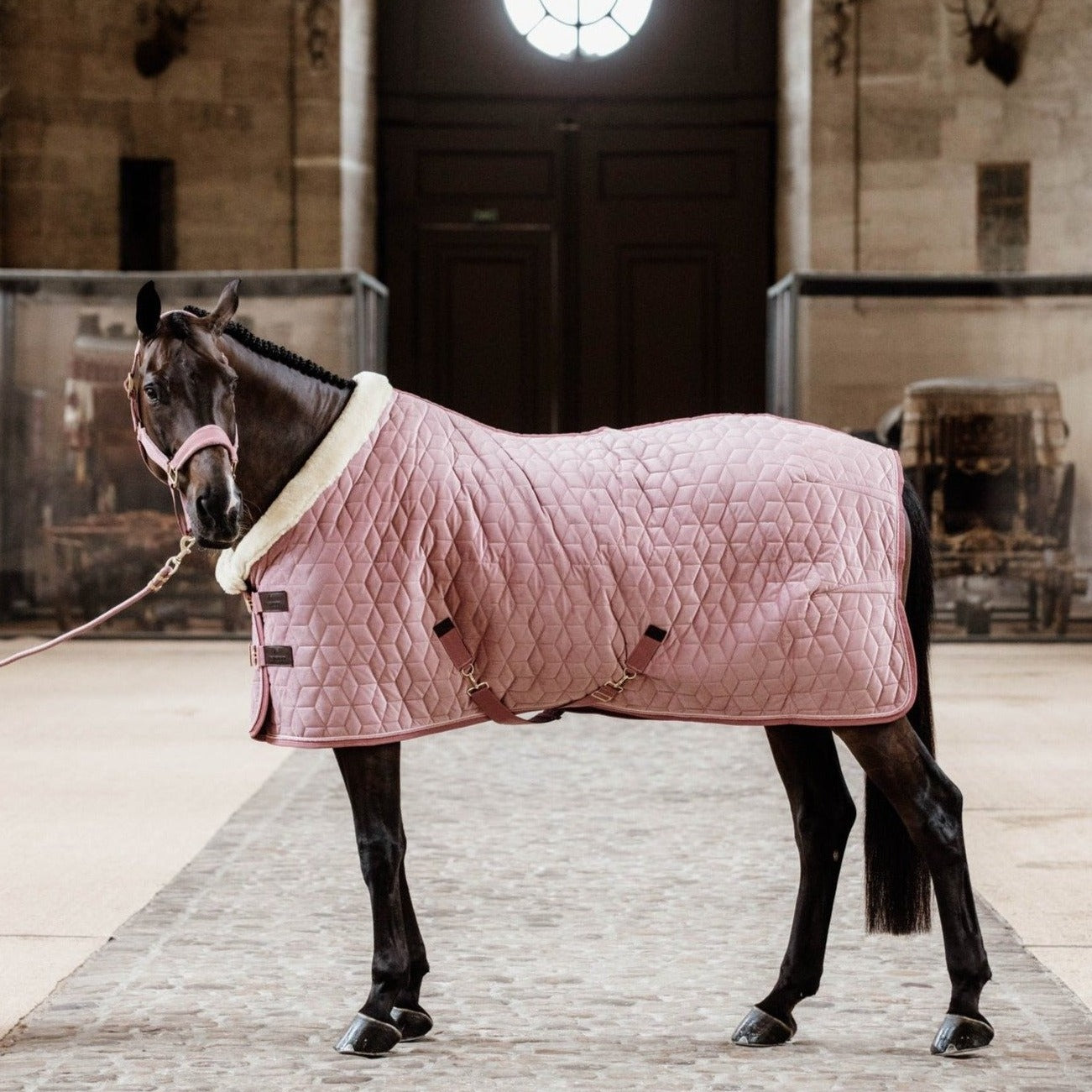 Kentucky pink show rug