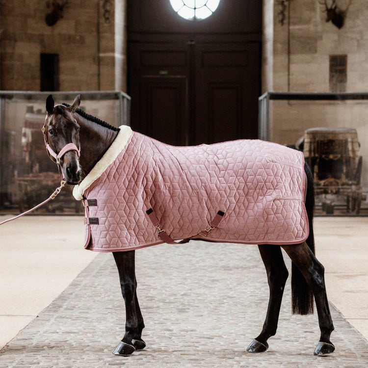 Kentucky pink show rug