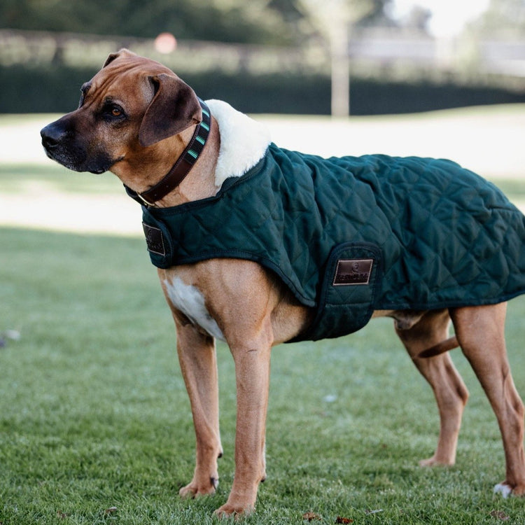 Kentucky Dog Coat Dark Green