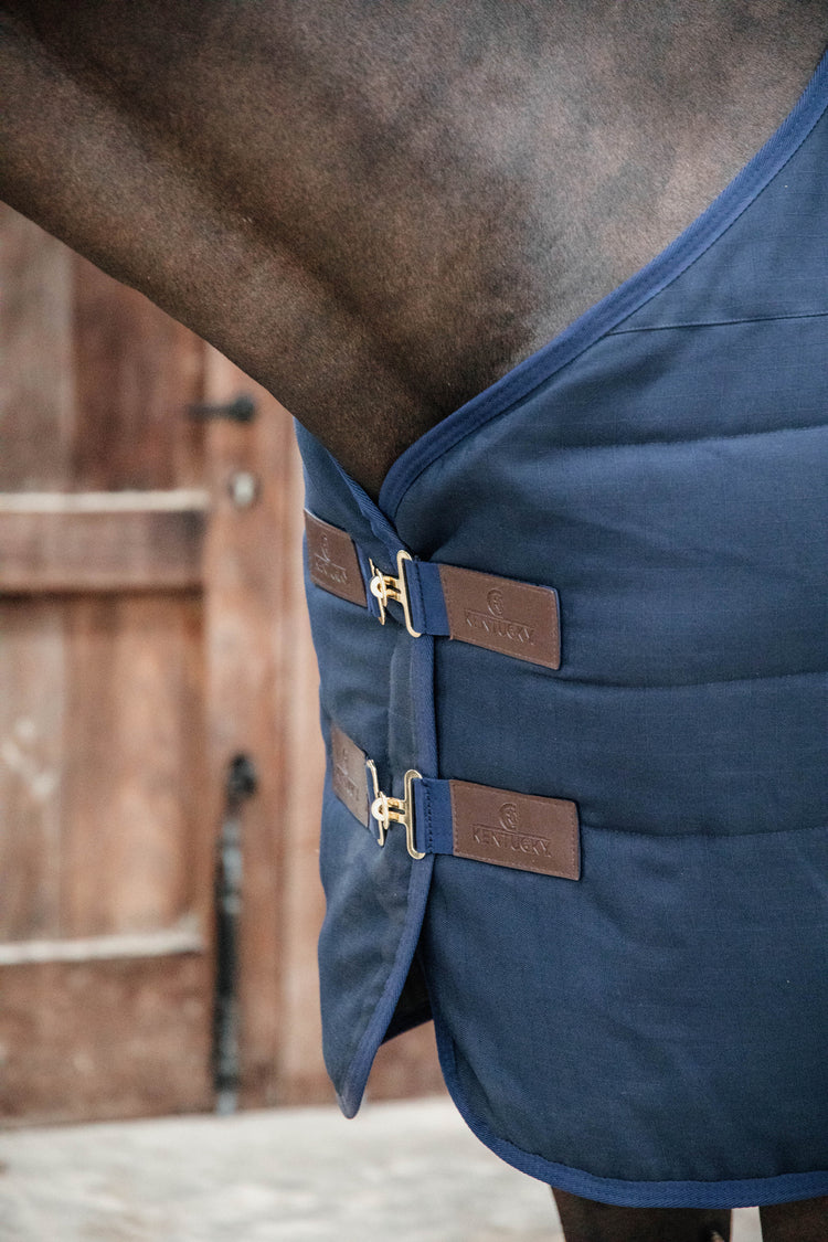 Stalldecke 100gr Kentucky