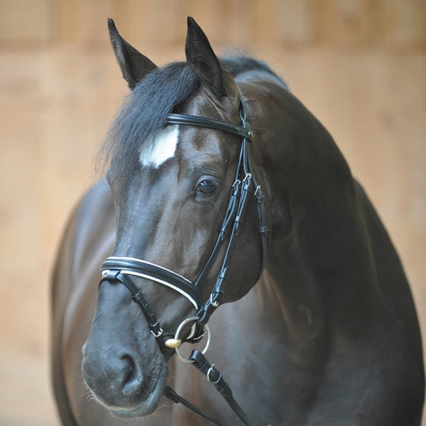 Cheap flash bridle