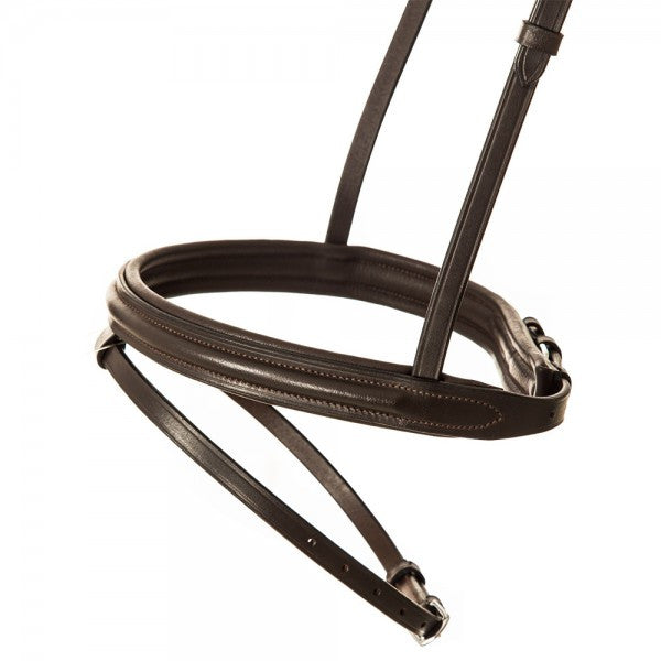 Basic leather bridle