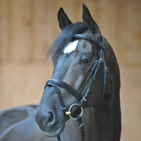 Kavalkade leather bridle