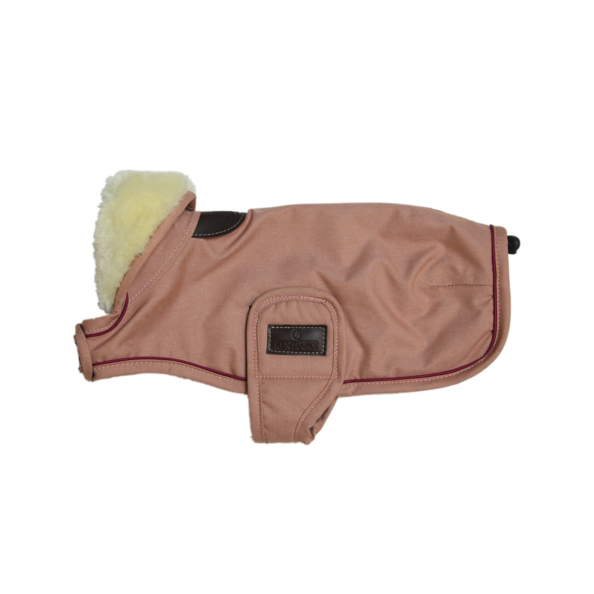 Waterproof warm dog coat