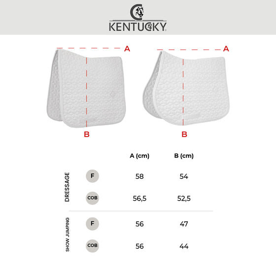 Kentucky Size Chart