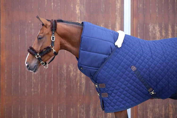 400 gram stable rug