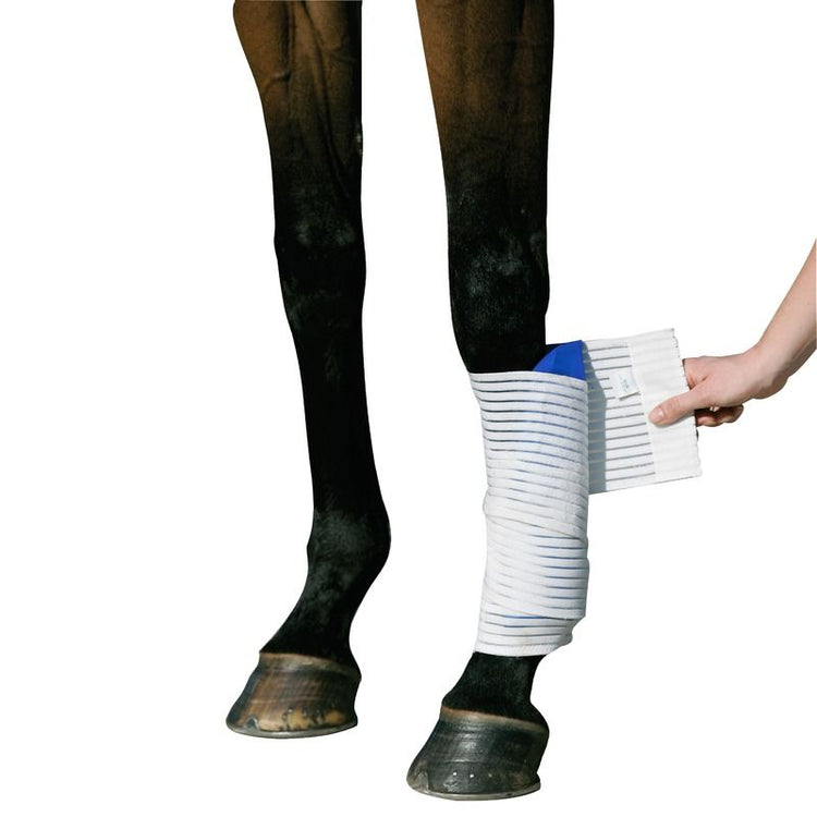 Stübben Kryo Kompakt Horse Bandage for securing a cold pack around the horse’s leg.