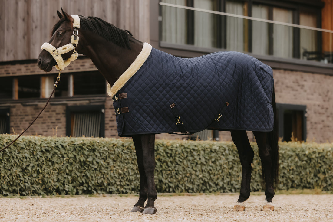 Your World Wide Equestrian Store - Discover your Favorite Brands