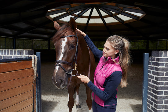 Proprioceptive training - prevent injury and enhance the horse&#39;s performance